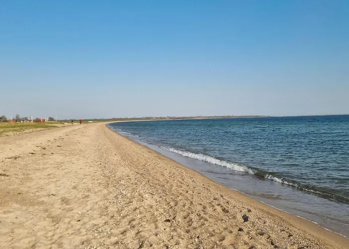 Schickes-ferienhaus-direkt-am-waldrand Holiday home